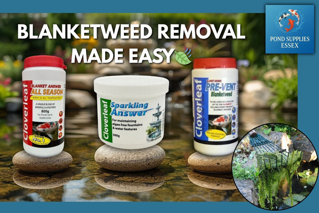 Blanketweed Removal Made Easy…