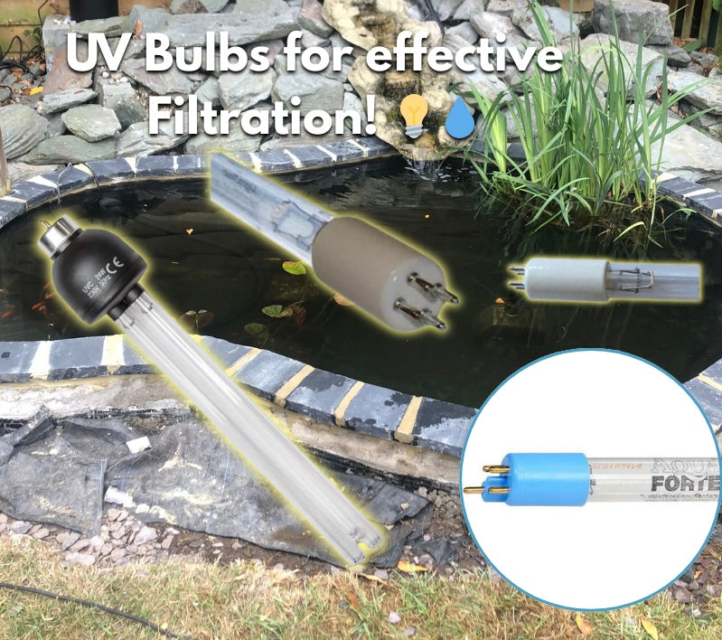 Why a UV Filtration Bulb is Essential for Clear Pond Water | Pond Supplies Essex