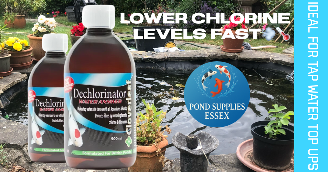Protect Your Fish Pond from Harmful Chlorine Levels