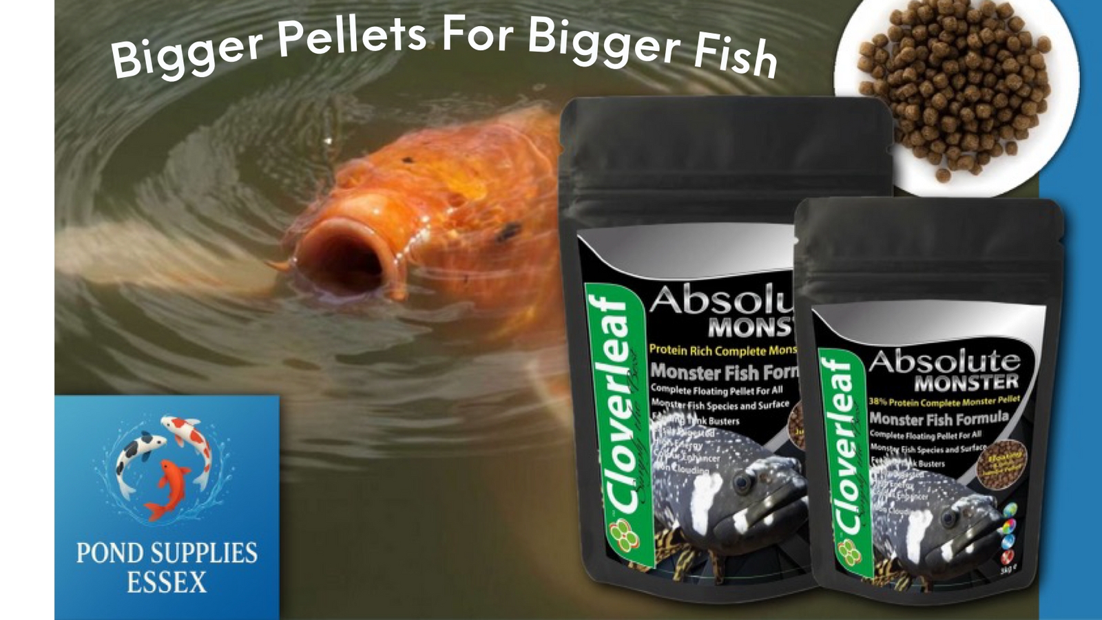 Cloverleaf Monster Fish Pellets in two sizes, 3kg and 6kg pouches, next to handful amount of pelts outside of packaging, behind this is a hungry orange koi fish with mouth open in koi pond water.