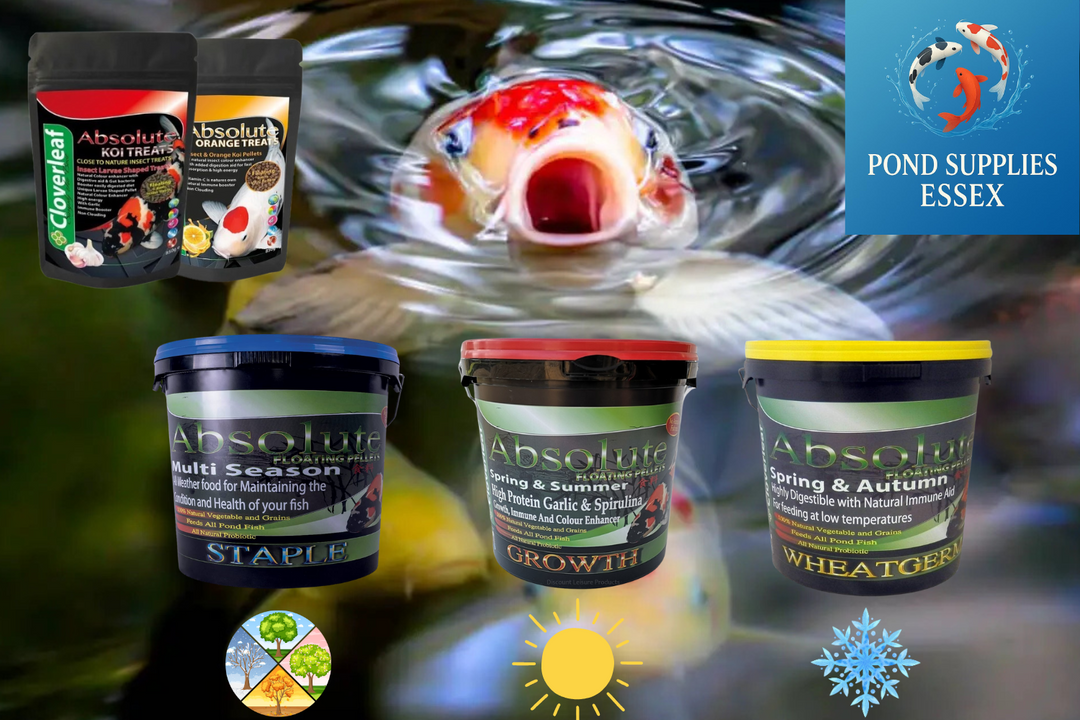 Types of Fish Food for Koi & Pond Fish