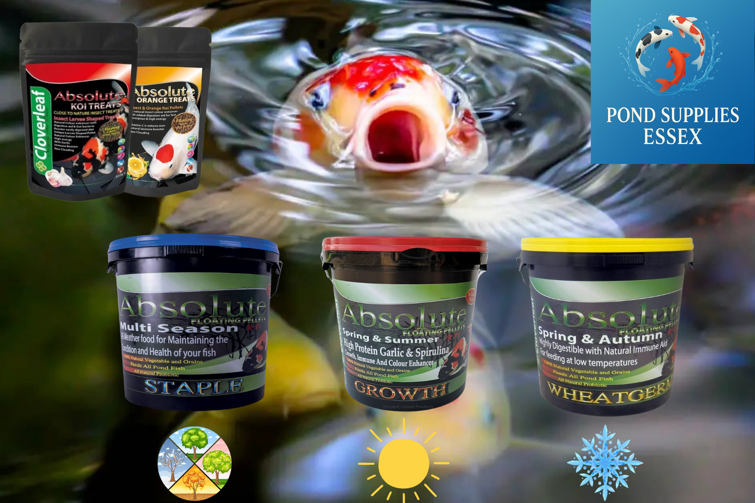 Cloverleaf’s Absolute range of different seasonal koi pond fish food, including Staple, Growth and Wheatgerm fish pellets. Aswell as Cloverleaf koi treats all at Pond Supplies Essex.