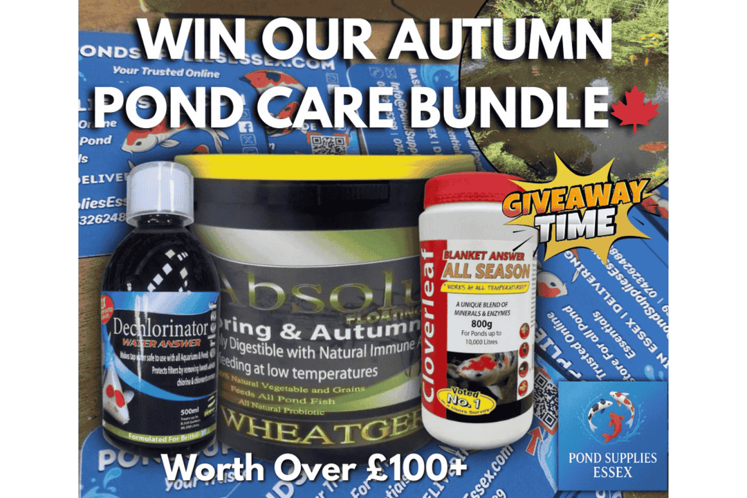 Autumn Pond Care Tips + GIVEAWAY