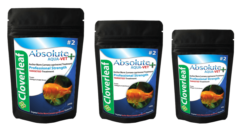 Anchor Worm (Lernaea cyprinacea) AquaVet Treatment Fish Health Treatment at Pond Supplies Essex Online Store