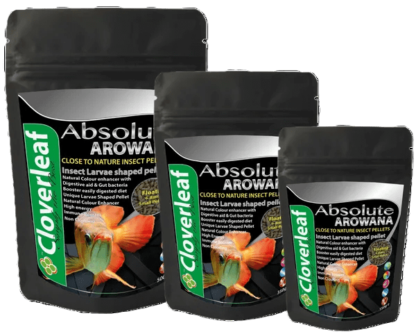 Cloverleaf Arowana Bug Diet 6.0-8.0mm Floating Pellets Aquarium fish food Cloverleaf