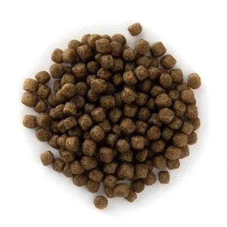 Cloverleaf Cichlid Growth Diet 4.5mm Floating Pellets Aquarium fish food Cloverleaf