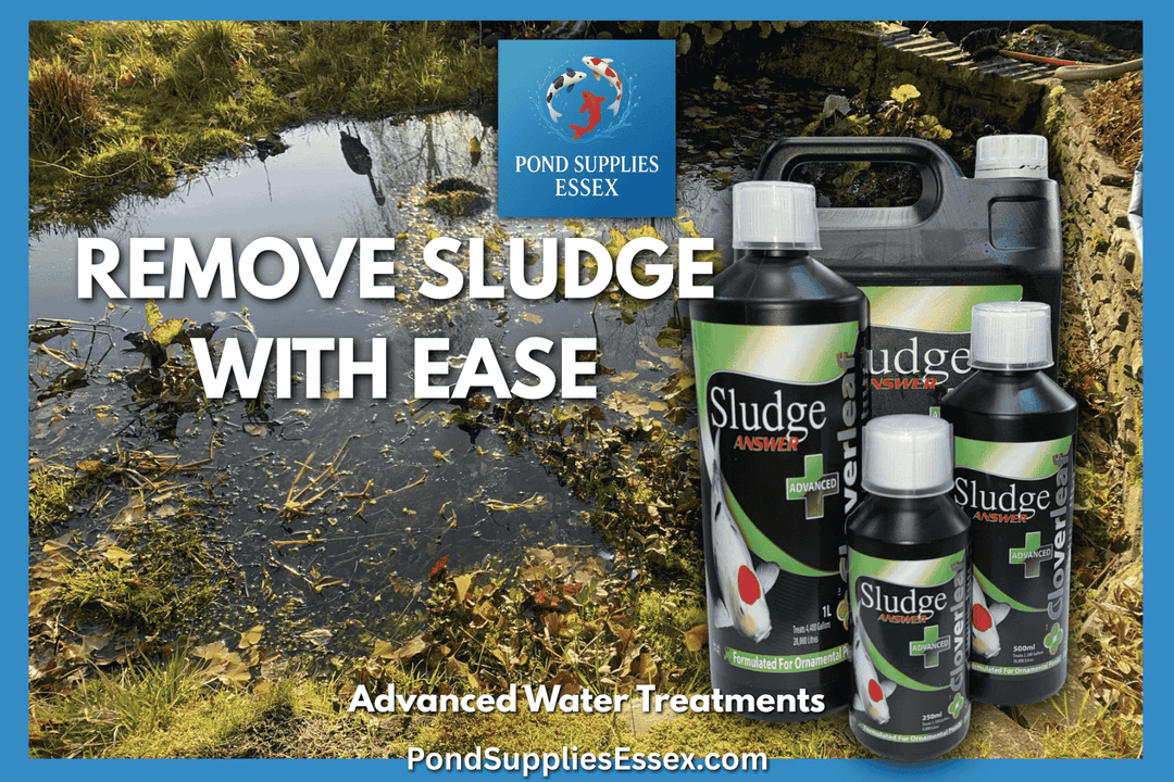 How to Remove Pond Sludge Naturally | Pond Sludge Treatment Guide