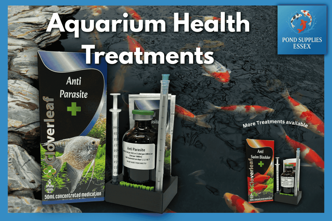 Why Aquarium Water Quality Matters: A Guide to Healthier Fish