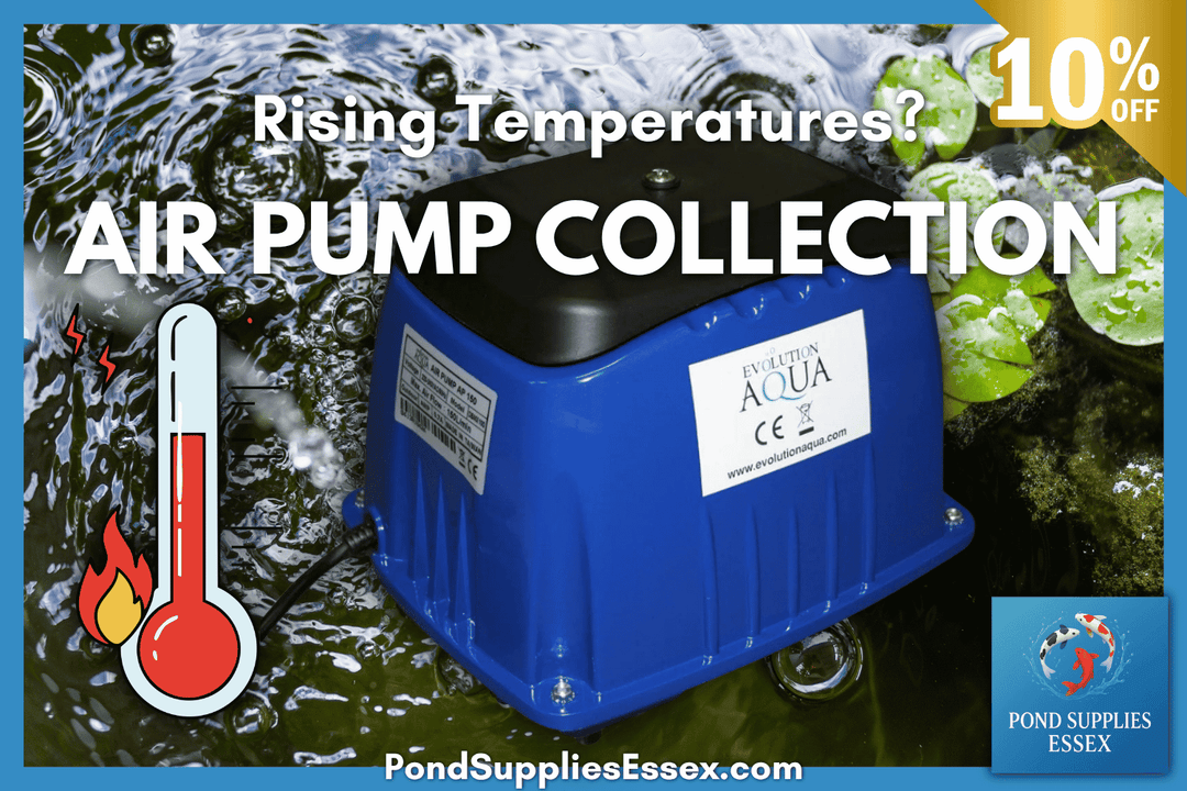 Why Every Pond Needs an Air Pump This Summer: The Importance of Pond Aeration During Rising UK Temperatures