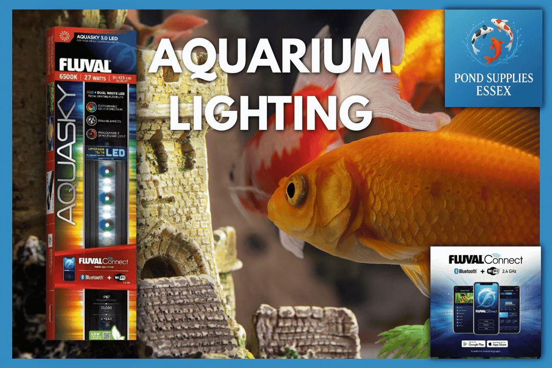 Why Upgrading Your Aquarium LED Lighting Can Completely Transform Your Fish Tank