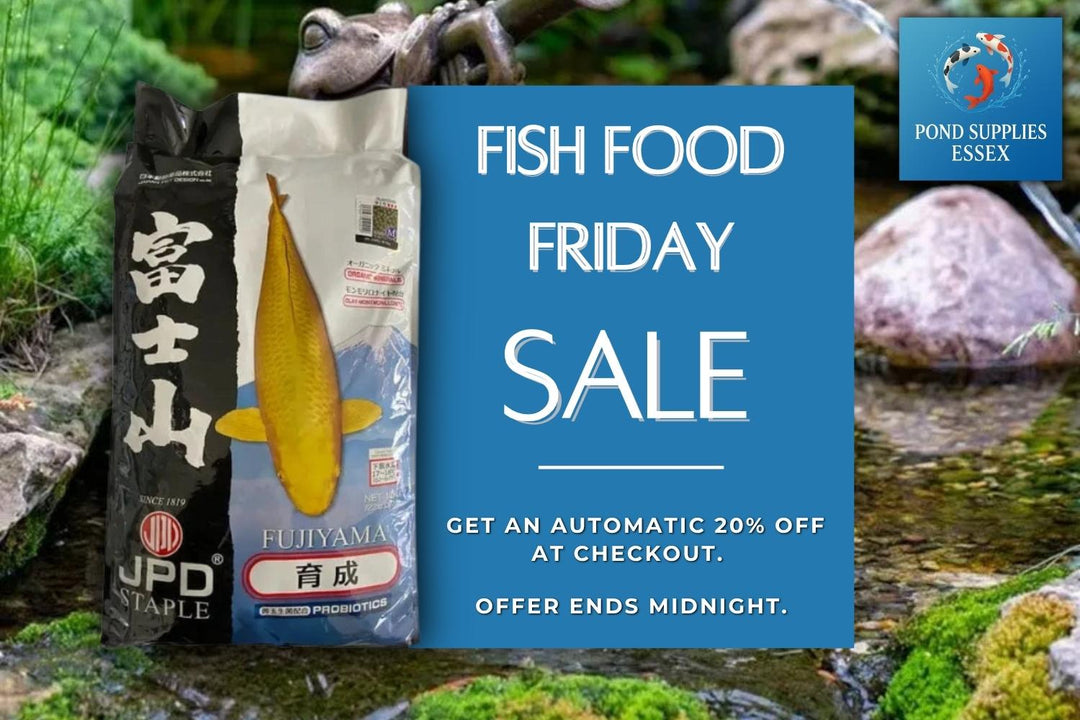 Fish Food Friday: Save 20% on Premium Pond Fish Food at Pond Supplies Essex