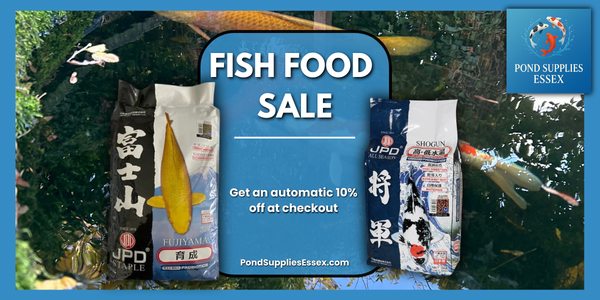 Why Wheatgerm and All Season Fish Food Matter at This Time of Year