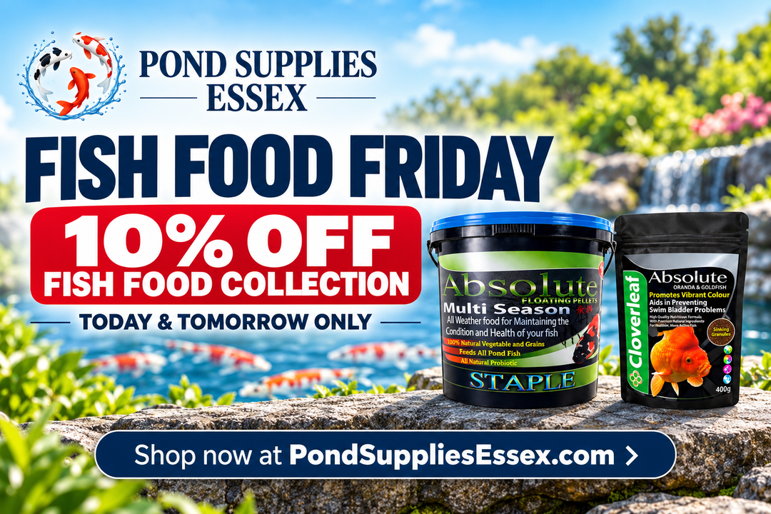 Fish Food Friday – 10% Off Our Pond Fish Food Collection