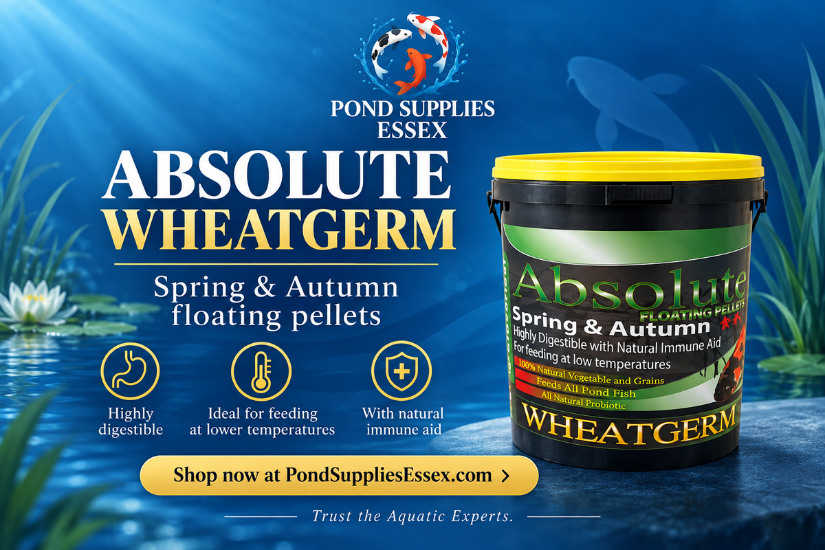 Cloverleaf Absolute Wheatgerm floating pond fish pellets for spring and autumn feeding, highly digestible and suitable for lower water temperatures.