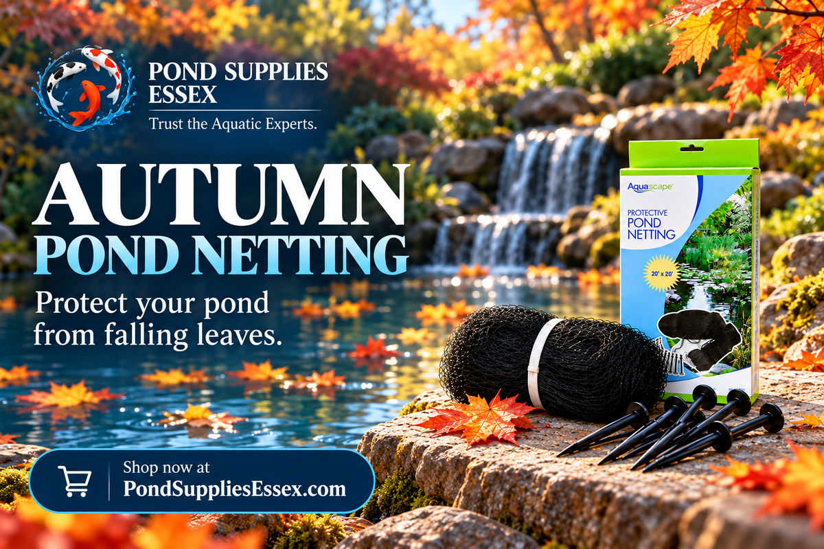 Autumn pond netting from Pond Supplies Essex, helping protect garden ponds from falling leaves and seasonal debris.