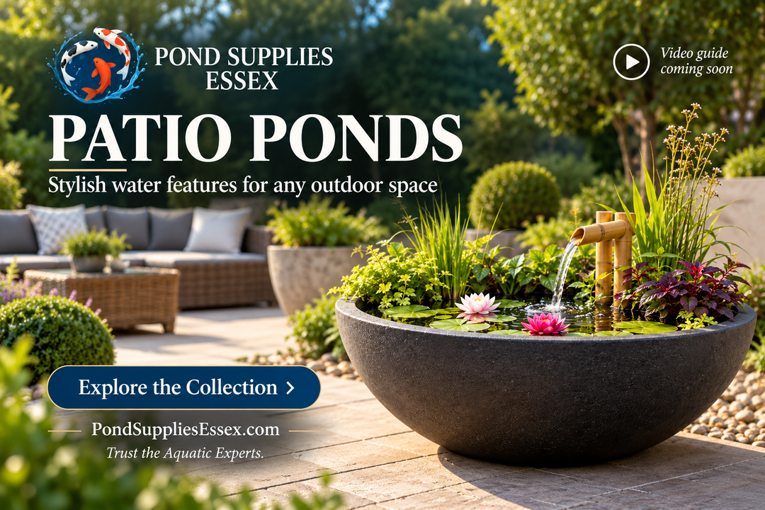 How to Create a Mini Patio Pond: A Guide for Small Gardens