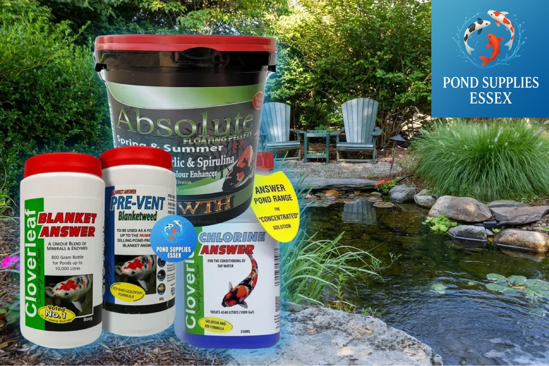 Effortless Pond Maintenance This Summer – Keep Your Koi Healthy!