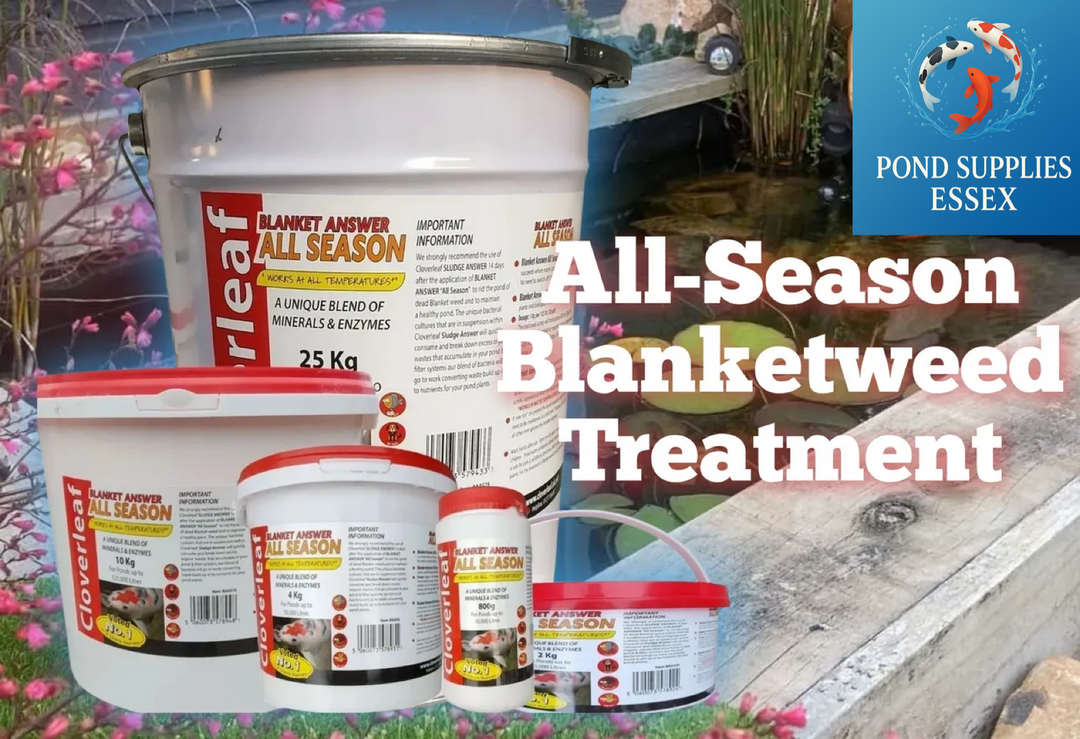 Say Goodbye to Blanketweed — In Every Season! 🍃🐠