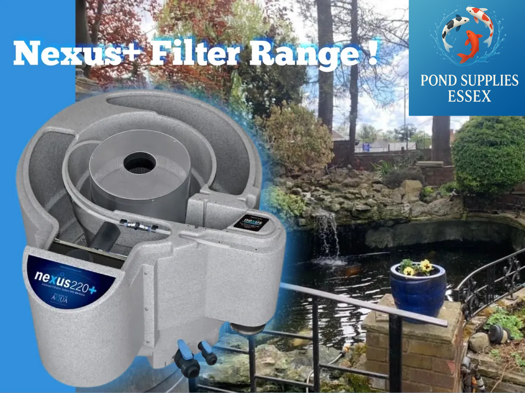 Upgrade Your Pond Filtration with Nexus Filters 🧼🐟