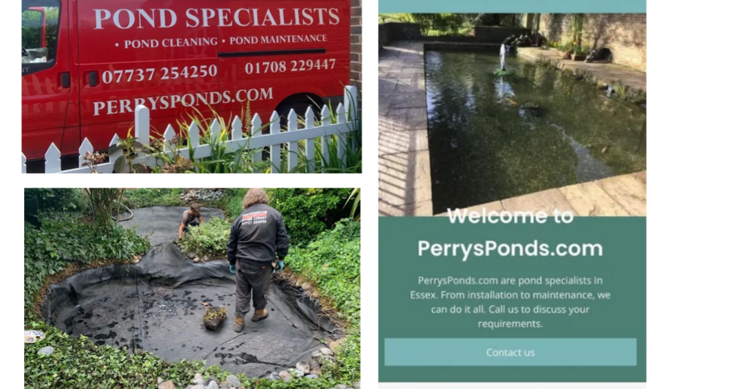 Professional Fish Pond Maintenance & Repairs – Trusted Partner Services 🐠