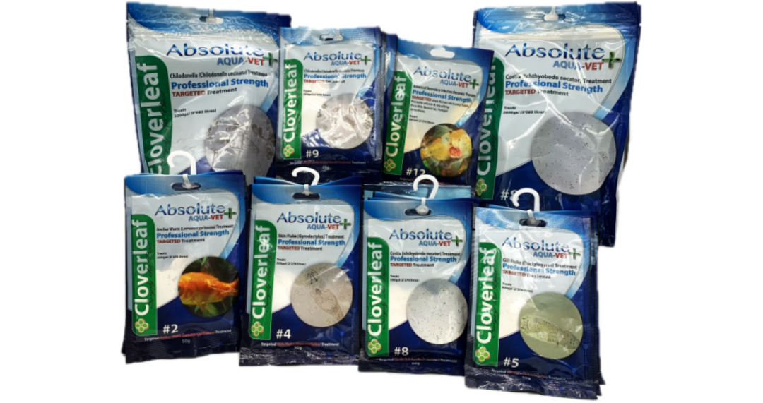Expert Koi Fish Medications Now Available at Pond Supplies Essex