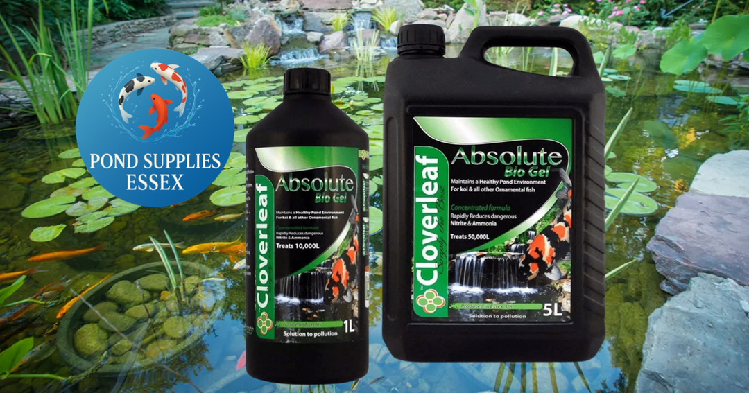 Accelerate Your Pond Filter Maturity with Absolute Bio Gel! 🚀🐟