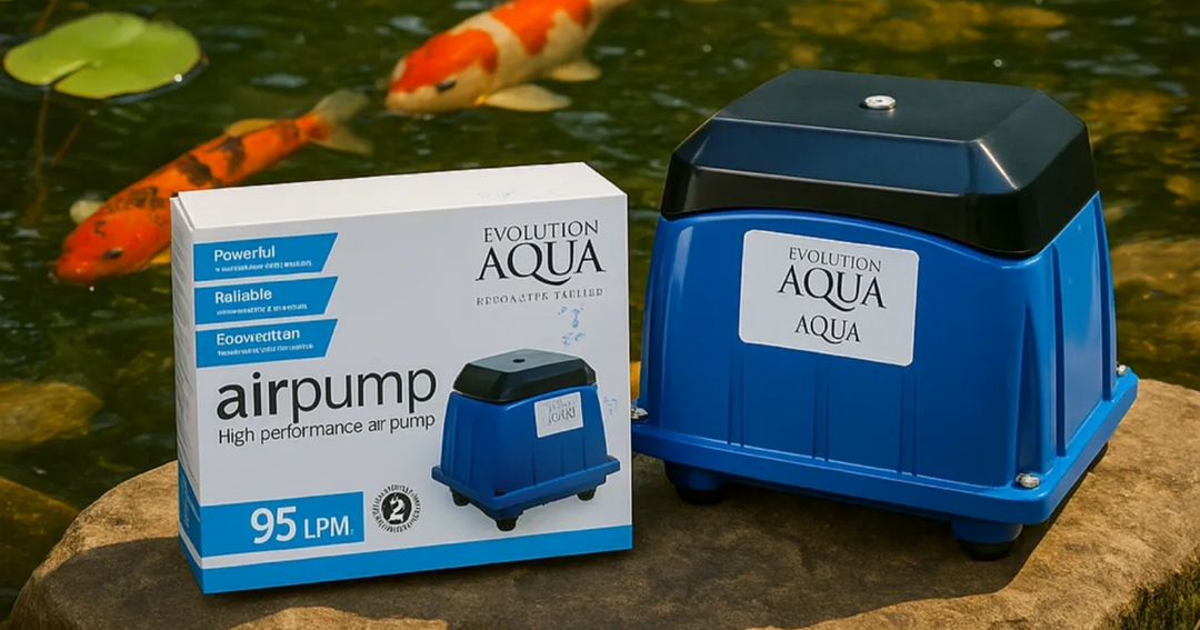 Breathe Life into Your Pond This Summer with Premium Air Pumps