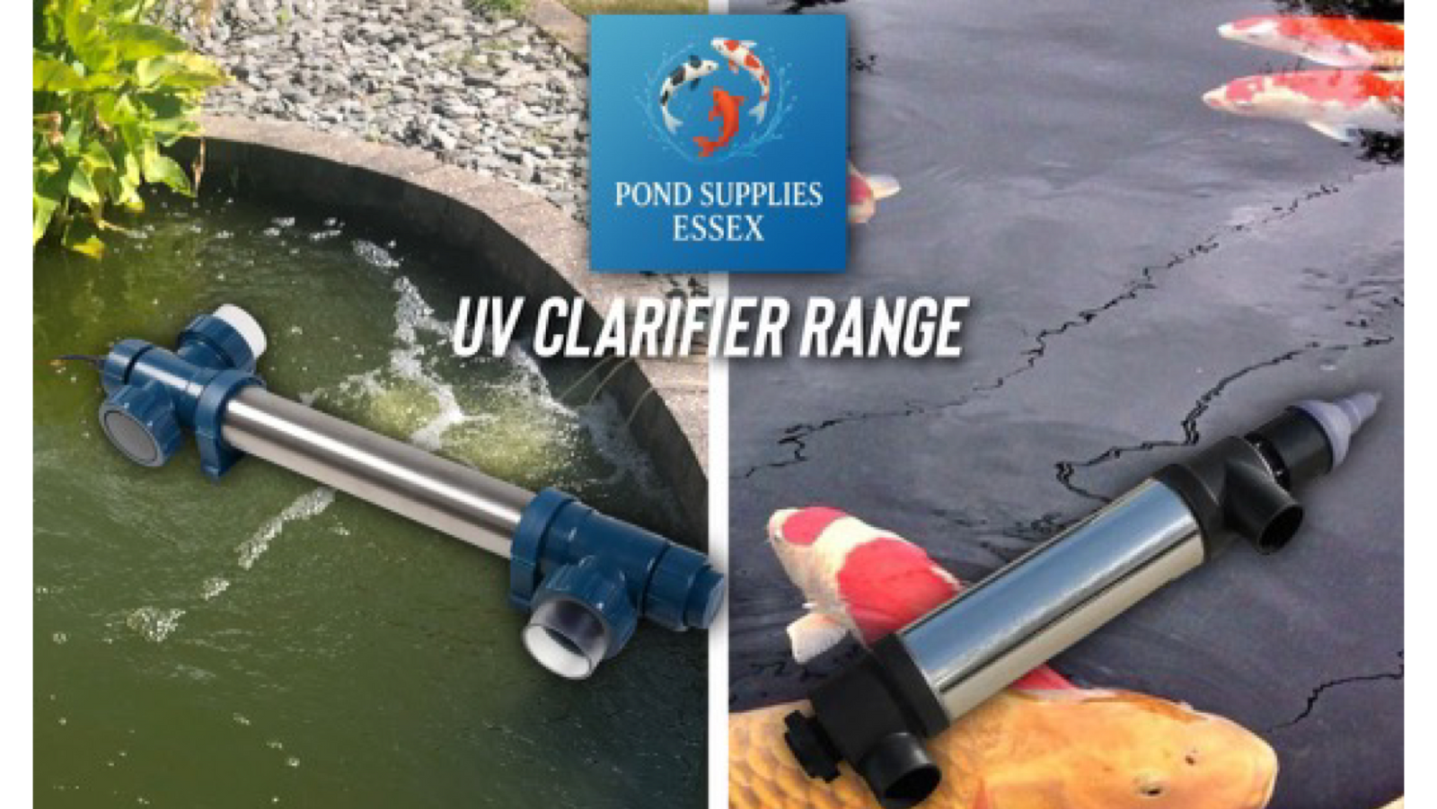 Pond Supplies Essex UV clarifier range collage photo including the Cloverleaf Stainless Steel 36w UVC alongside the AquaForte MIDI Power UVC. Behind them are two different healthy koi fish ponds.