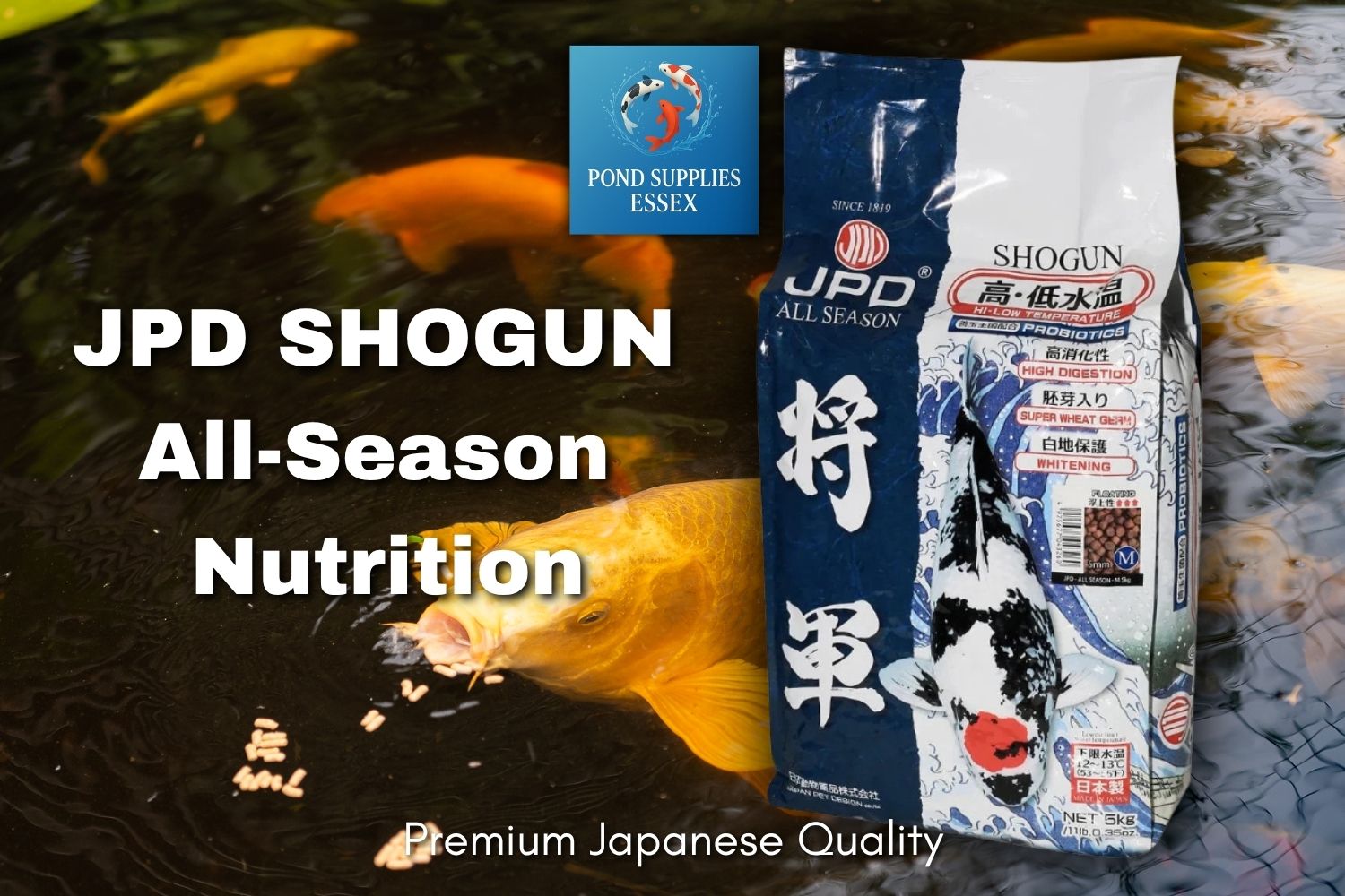 JPD SHOGUN all season high quality fish food pellets from our Pond Supplies Essex Fish food collection 
