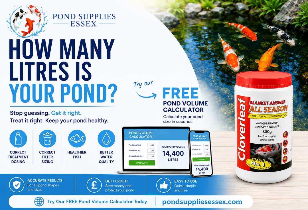 Why Knowing Your Pond Volume Matters for Pond Health