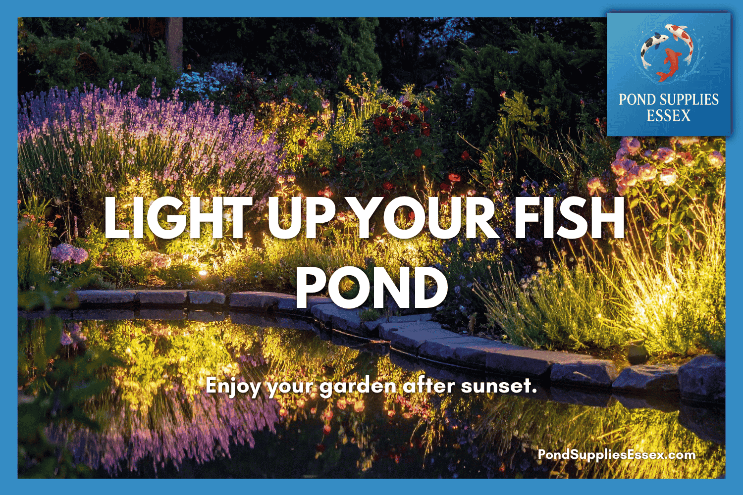 Effective fish porn and aquarium lighting at PondSuppliesEssex online aquatic store 