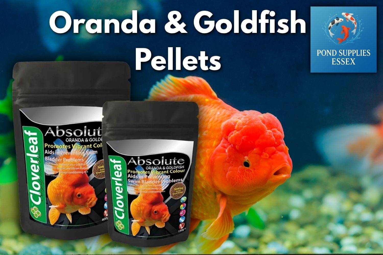 Oranda & goldfish sinking fish food pellets for koi ponds and aquariums at Pond Supplies Essex