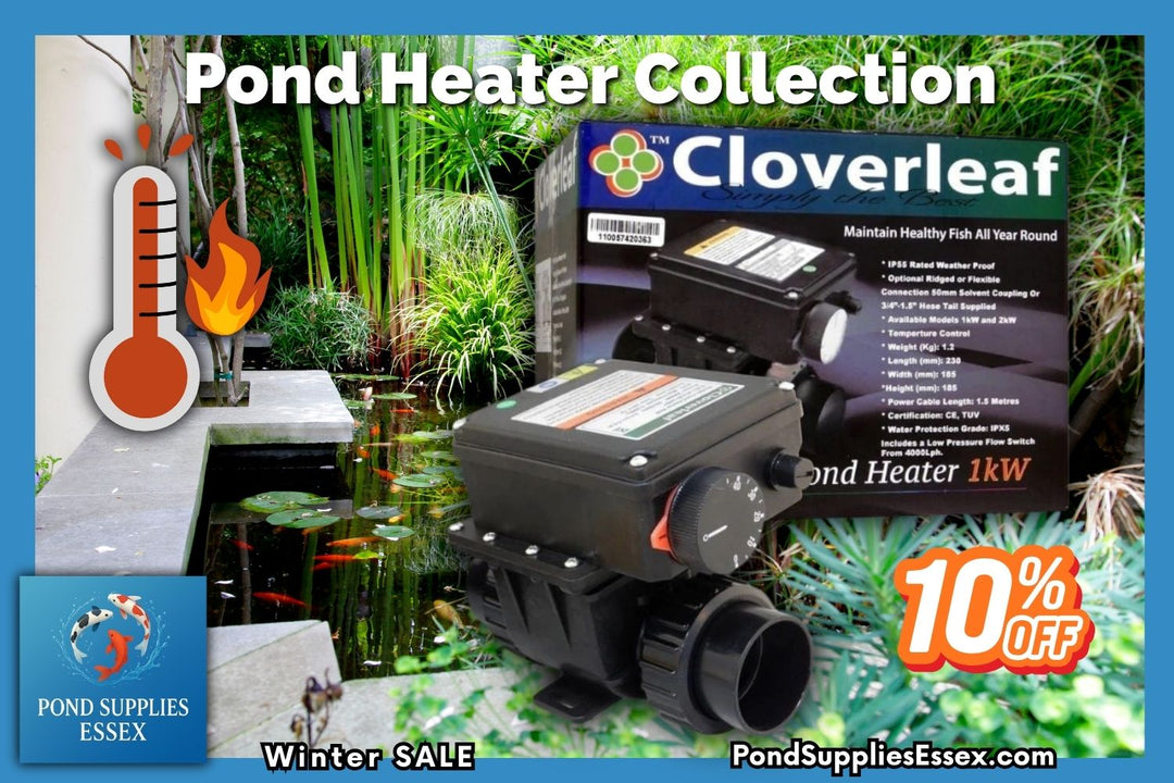 Why a Pond Heater Is Essential for Winter: Protecting Your Fish and Pond Health This Season