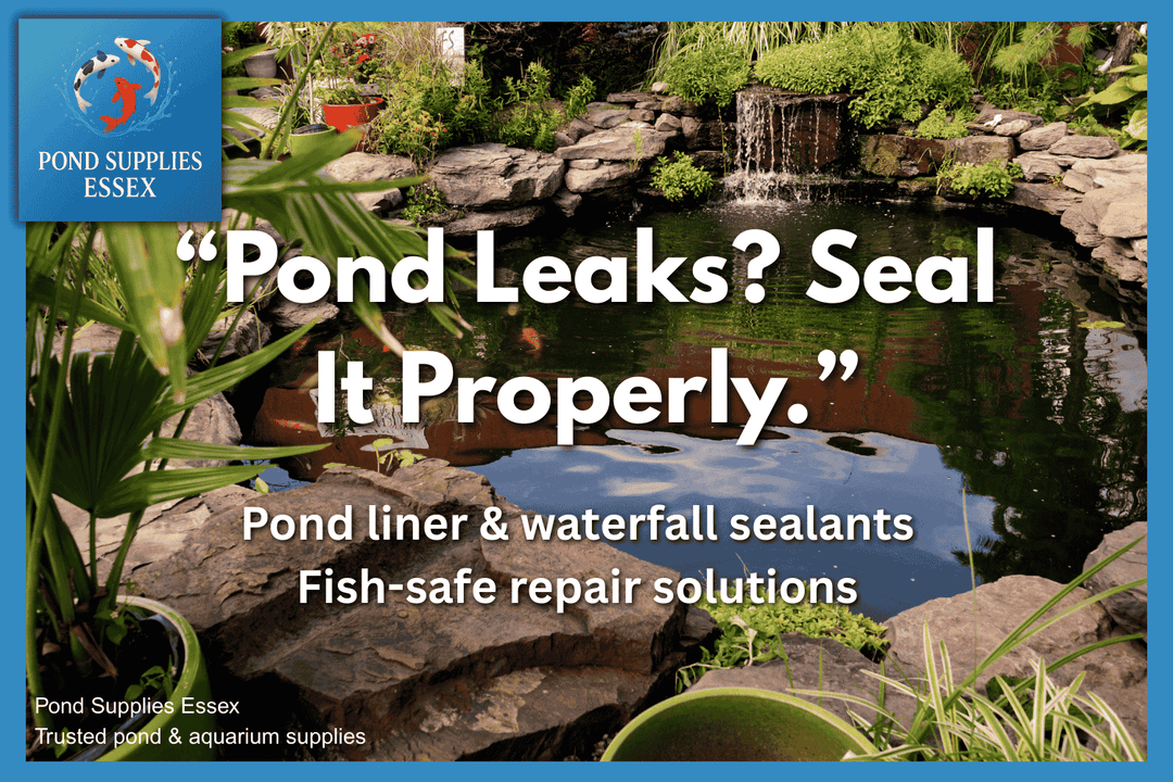 Why Pond Sealants Are an Essential Part of Pond Maintenance