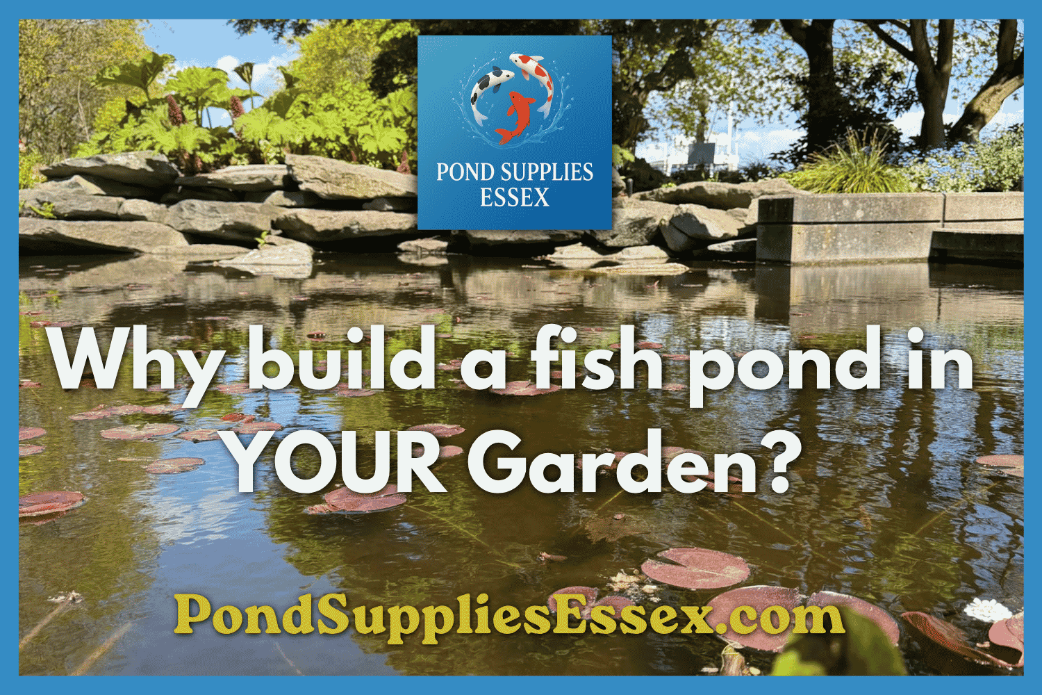 Why build a fish pond in your garden this summer at PondSuppliesEssex Online Aquatic Store . Filters, pumps , fish food and much more 