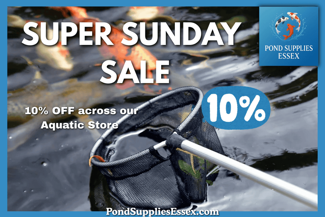 Sunday Special: 10% Off All Pond Supplies Today