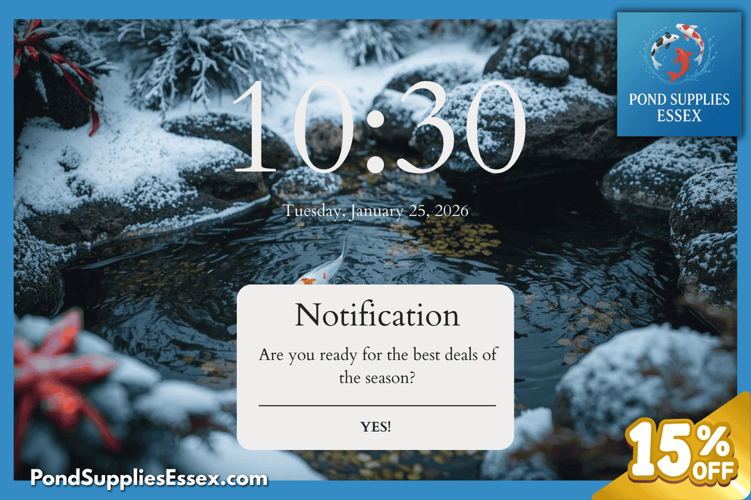 January Pond & Aquarium Care Guide: Save Up to 15% on Essential Supplies