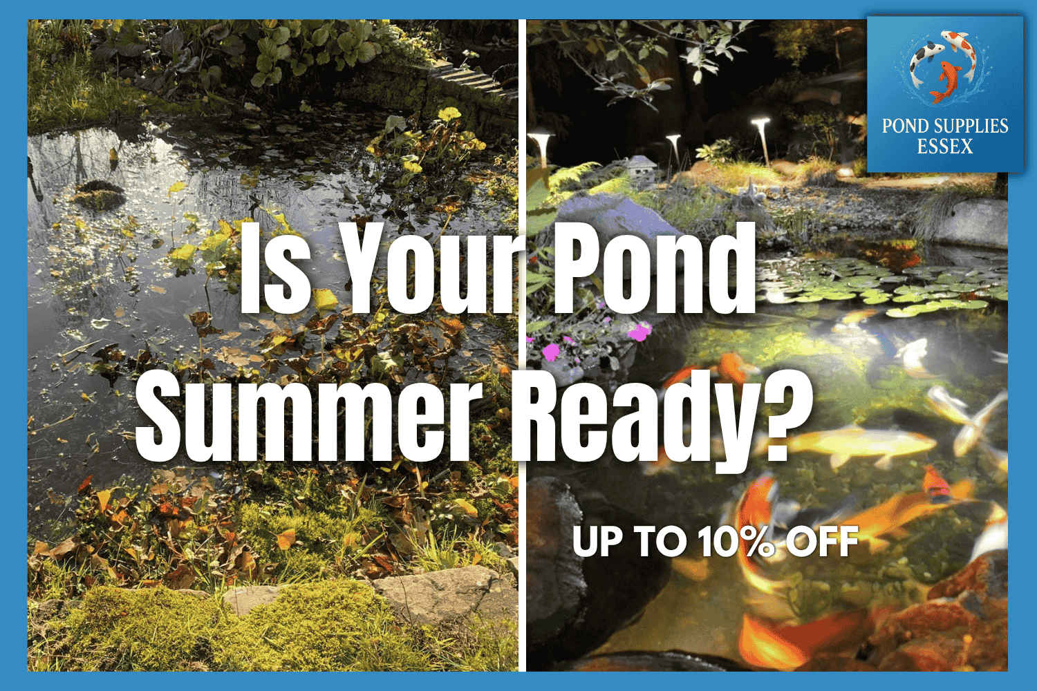 Is your pond summer ready? Get your fish pond and aquarium essentials from the aquatic experts at PondSuppliesEssex.com online aquatic store 