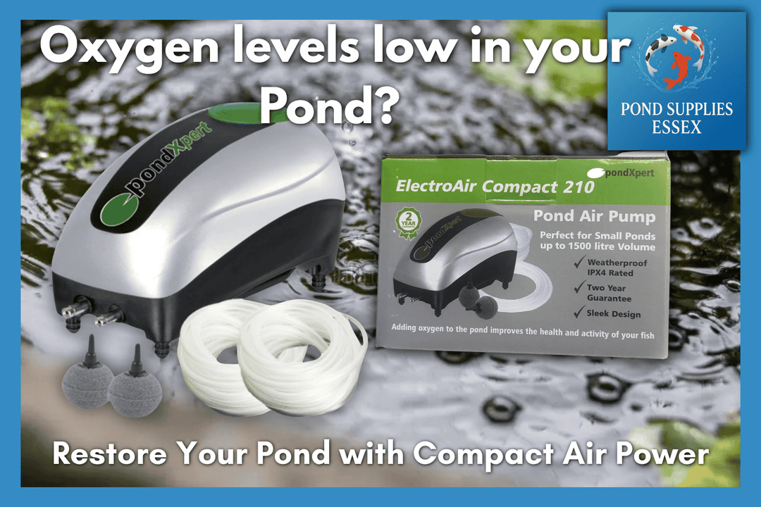 Why Pond Aeration Is Essential in Summer (And How Compact Air Pumps Can Help)