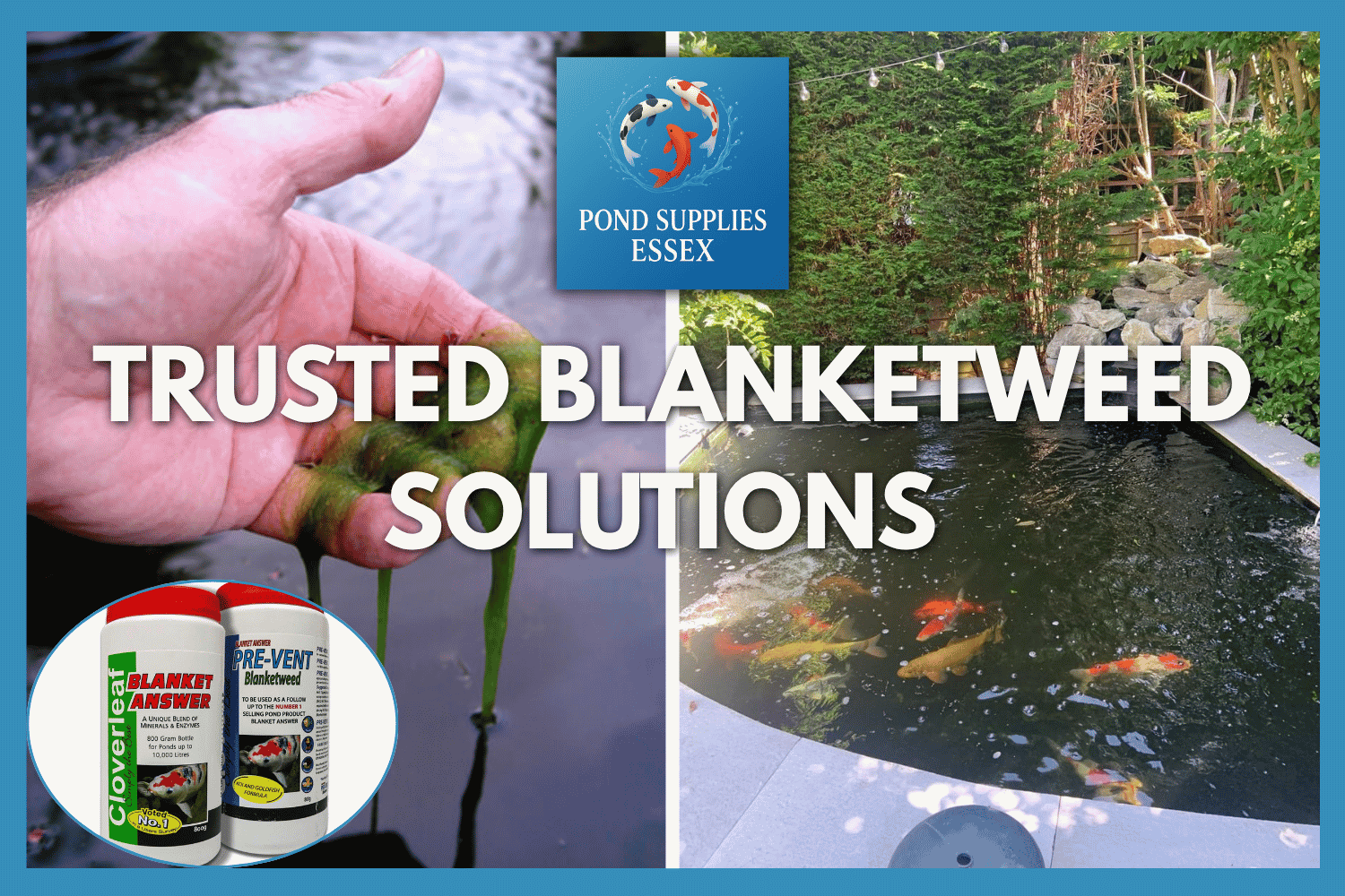 All season blanketweed treatments, blanketweed prevent effective down to 2°c for effective blanketweed removal at PondSuppliesEssex Online Aquatic store