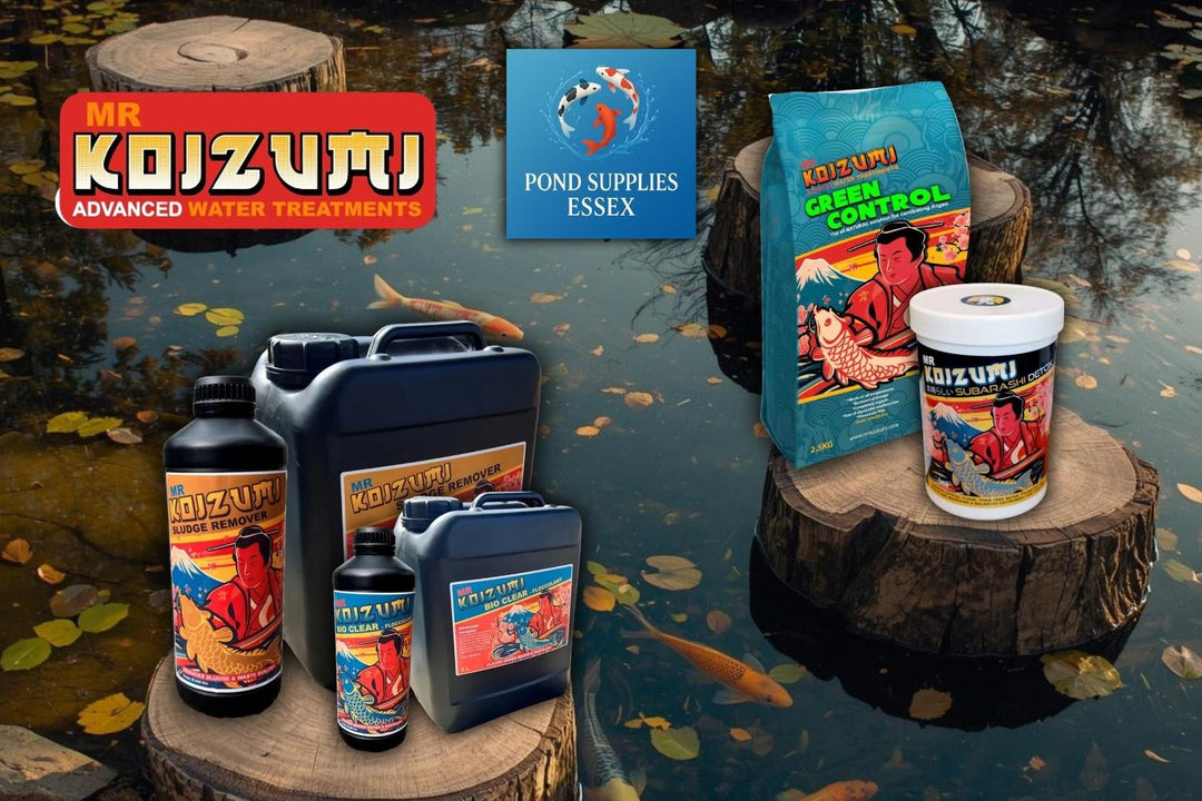 🌿 The Importance of Healthy Pond Water: How to Keep Your Fish and Plants Thriving