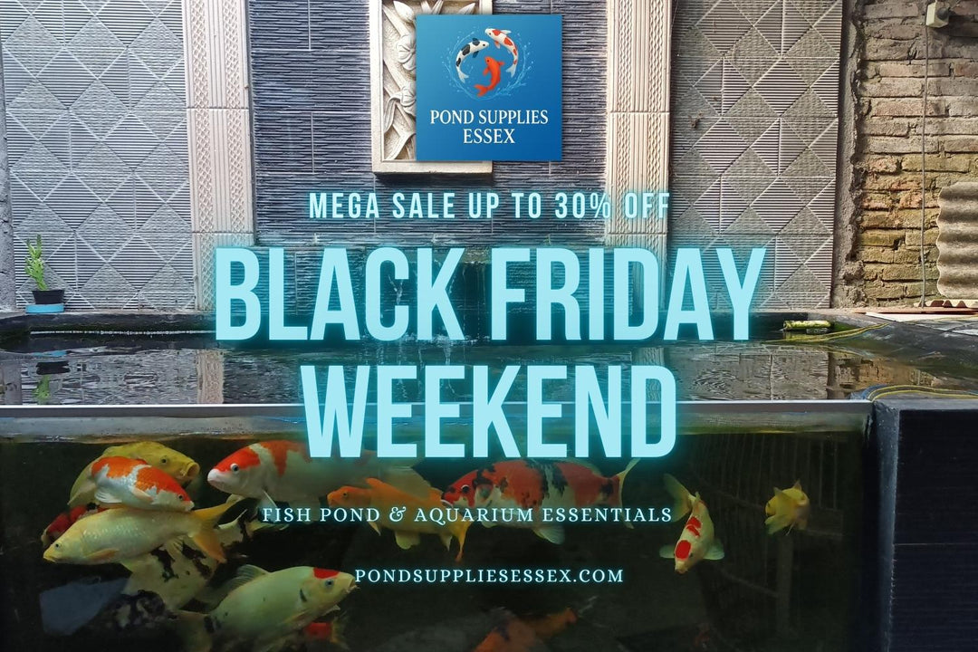 Black Friday Weekend: 30% Off All Pond and Aquarium Supplies at Pond Supplies Essex