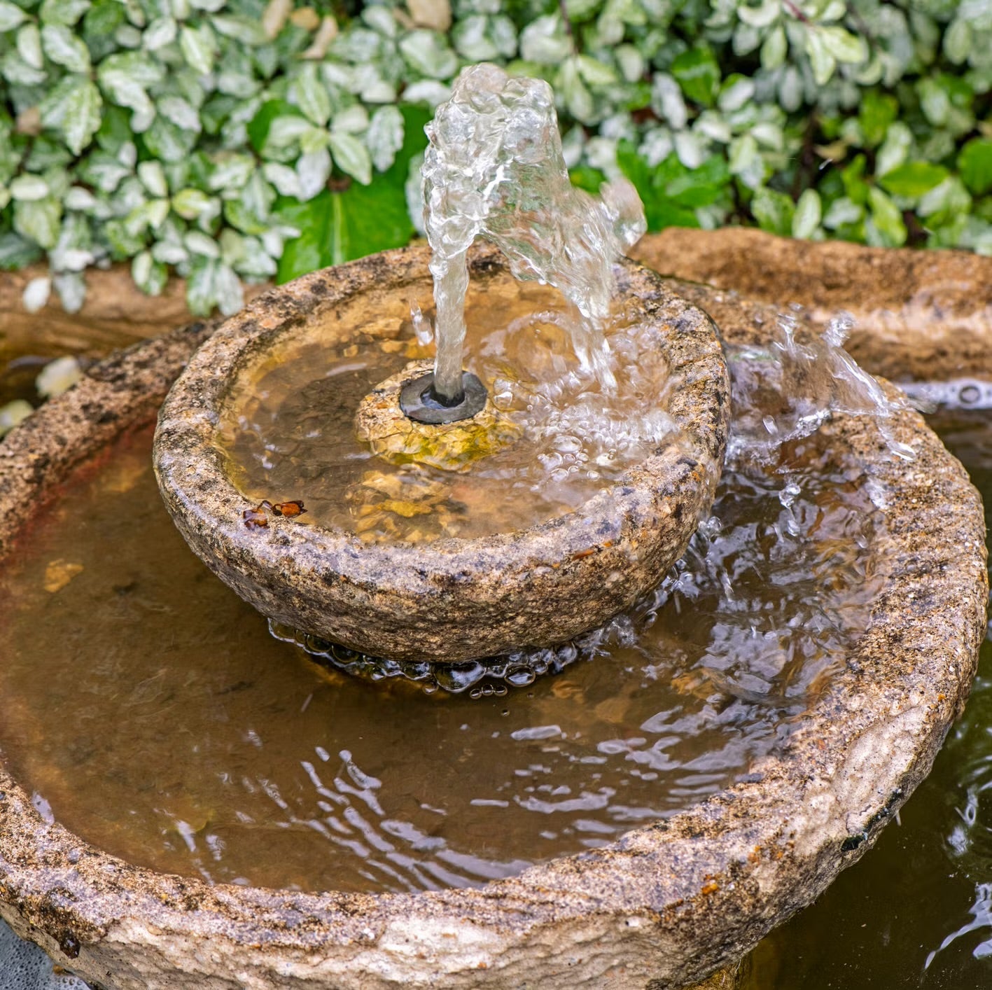 Garden Water Features