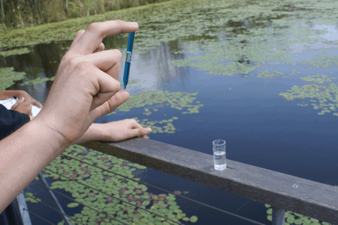Pond & Water Testing