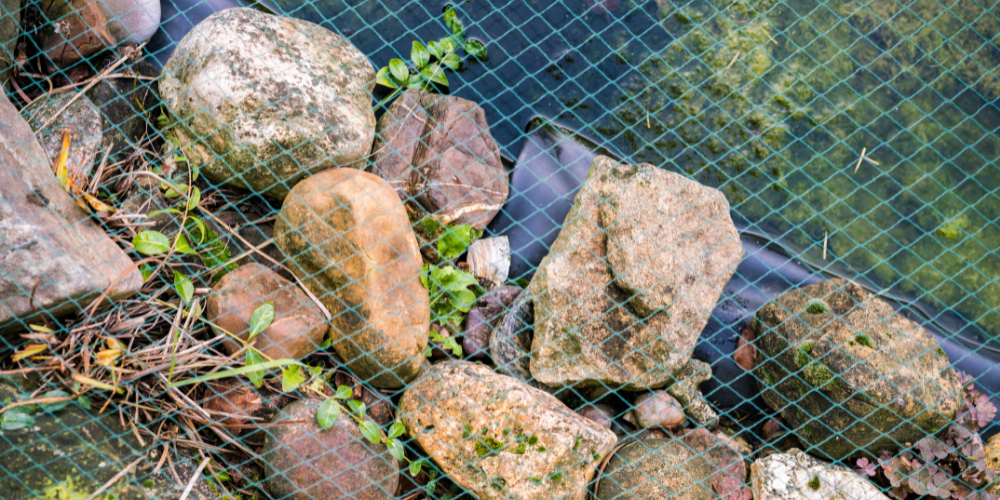 Pond Cover Nets
