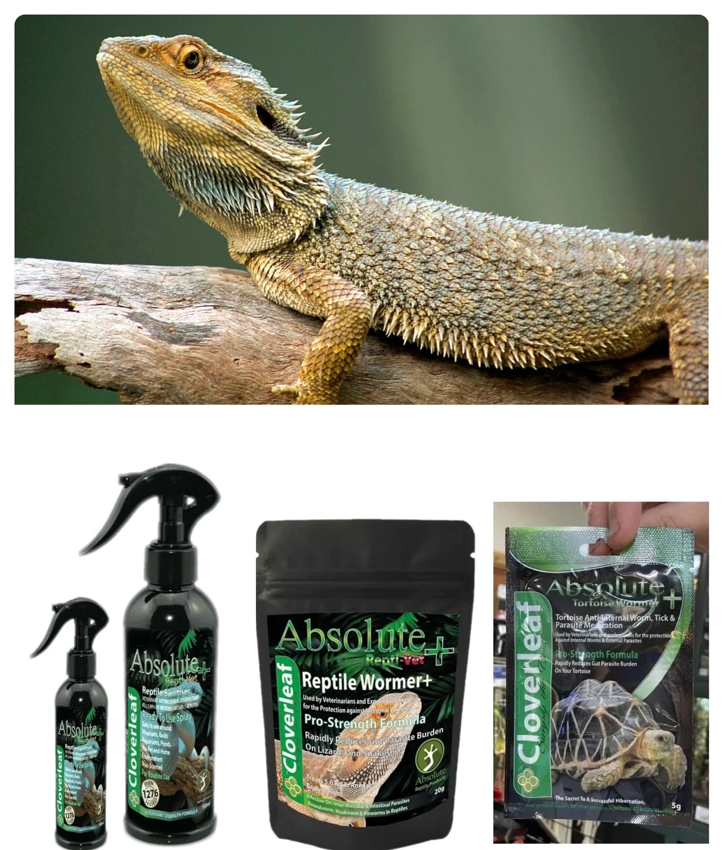 Reptile medication range at PondSuppliesEssex 