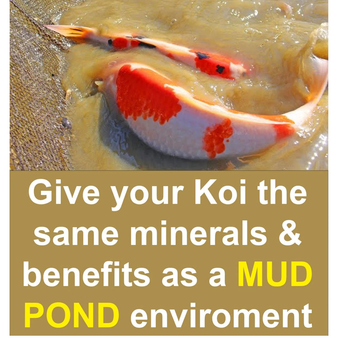 Mr Koizumi Clay 86 Mud Water Treatment