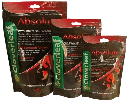 Absolute Chloramine-T Hydrate Treatment Pond Supplies at Pond Supplies Essex Online Store 