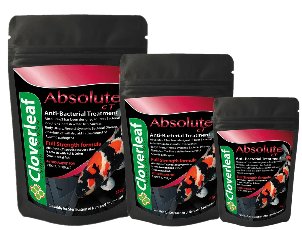Absolute Chloramine-T Hydrate Treatment Pond Supplies Cloverleaf