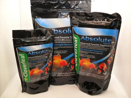 Absolute Parasite+ Treatment Fish Health Treatment at Pond Supplies Essex Online Store 